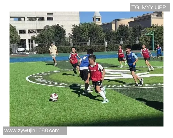 探索希D彩足球的魅力与激情，感受足球带来的无限乐趣与团队精神