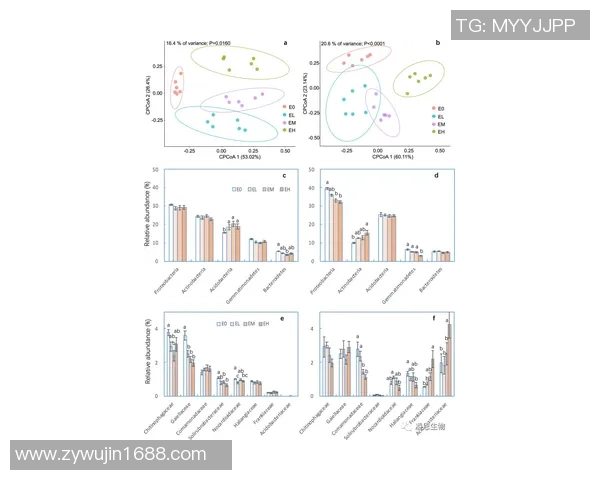 足球杆尺寸的选择与影响因素解析及其对比赛的影响 足球杆尺寸的选择与影响因素解析及其对比赛的影响